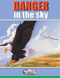 Danger in the Sky (Livewire Investigates)