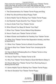 Have Fun Training and Understanding Your Tibetan Terrier Puppy & Dog