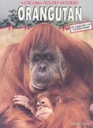 Orangutan (Animals Under Threat)