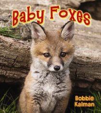 Baby Foxes (It's Fun to Learn About Baby Animals)