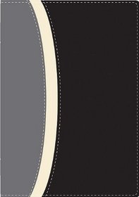 RVR Biblia de Estudio 'Serie 50', dos tonos italiano, negro/gris (Spanish Edition)