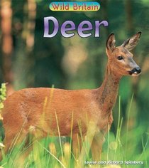 Deer (Wild Britain: Animals)