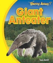 Giant Anteater (Unusual Animals)