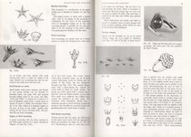 Creative Gold- and Silversmithing
