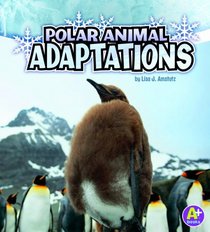 Polar Animal Adaptations (Amazing Animal Adaptations)