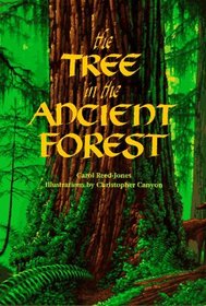 The Tree in the Ancient Forest