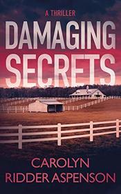 Damaging Secrets (Rachel Ryder)