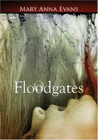Floodgates (Faye Longchamp, Bk 5) (Audio Cassette) (Unabridged)
