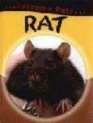 Rat (Extreme Pets)