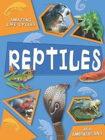Reptiles and Amphibians (Amazing Life Cycles)