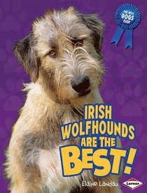 Irish Wolfhounds Are the Best! (The Best Dogs Ever)