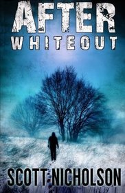 After: Whiteout (Volume 4)