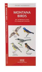 Montana Birds (Pocket Naturalist - Waterford Press)