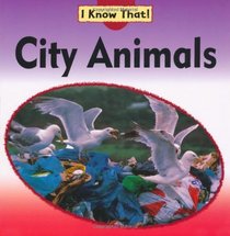 City Animals (I Know That)