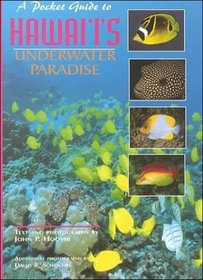 A Pocket Guide to Hawaii's Underwater Paradise