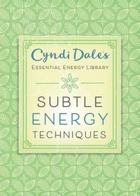 Subtle Energy Techniques (Cyndi Dale's Essential Energy Library)