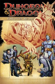 Dungeons & Dragons: Forgotten Realms Classics Volume 3 (Dungeons & Dragons (Idw Quality Paper))