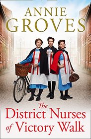 The District Nurses of Victory Walk (District Nurse, Bk 1)