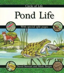 Pond Life (Circle of Life)
