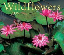 Wildflowers 2006 (Calendar)