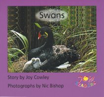 Swans (Joy readers)