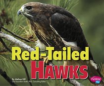 Red-Tailed Hawks (Birds of Prey)