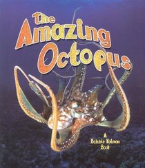 The Amazing Octopus (The Living Oceans, 4)