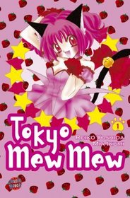 Tokyo Mew Mew 1 (German Edition)