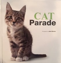 Cat Parade