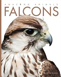 Amazing Animals: Falcons