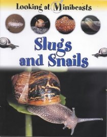 Slugs and Snails (Looking at Minibeasts)