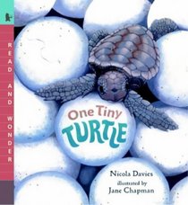 One Tiny Turtle (Read and Wonder)