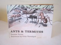 Ants and Termites.
