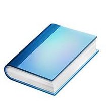 BIG TIP BOOK (Business Productivity Library)