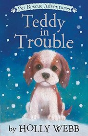 Teddy in Trouble (Pet Rescue Adventures)