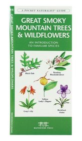 Great Smoky Mountains Trees & Wildflowers: An Introduction to Familiar Species (Regional Nature Guides)