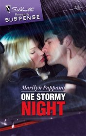 One Stormy Night (Silhouette Romantic Suspense)