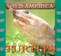 Wild America - Turtles