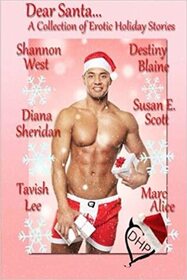 Dear Santa: A Collection of Erotic Holiday Stories