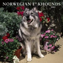 Norwegian Elkhounds 2005 Wall Calendar