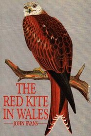 The Red Kite in Wales