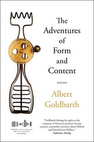 The Adventures of Form and Content: Essays