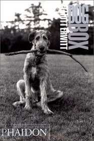Dog Box - Vertical Cards