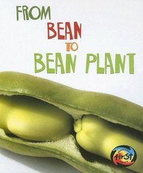 From Bean to Bean Plant (Heinemann First Library)