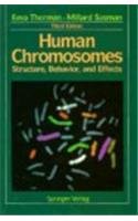 Human Chromosomes: Structure, Behavior, and Effects