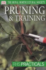 Pruning and Training (RHS Practicals)