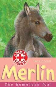 Merlin - The Homeless Foal