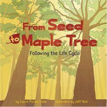 From Seed to Maple Tree: Following the Life Cycle (Amazing Science)