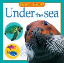 Under the Sea (Feels Real Books)