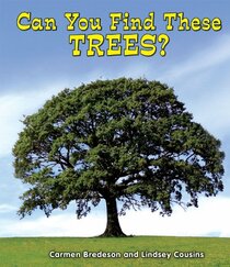 Can You Find These Trees? (All About Nature)